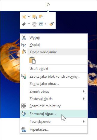 Zrzut ekranu przedstawiający opcje formatowania obrazu w programie Publisher
