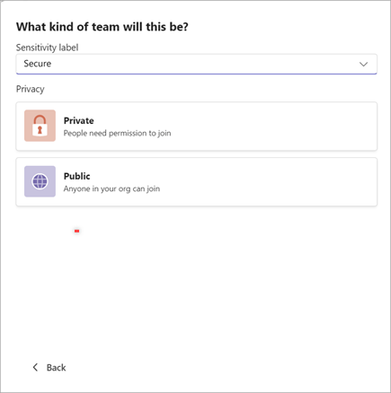 Zrzut ekranu przedstawiający okno tworzenia nowego zespołu w usłudze Microsoft Teams z opcjami ustawiania poufności jako Bezpieczny i prywatność jako prywatny lub publiczny.