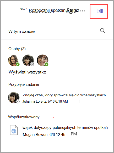 Zrzut ekranu przedstawiający sposób wyświetlania okienka informacji o czacie, które zawiera listę 3 osób, 1 przypiętą wiadomość i 1 dokument udostępniony.