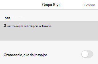 Okno dialogowe Tekst alternatywny w aplikacji Excel dla systemu iOS.
