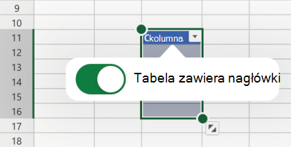 Opcja Tabela ma zaznaczoną opcję nagłówków w programie Excel dla systemu iOS