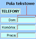 Przykładowe pole tekstowe (kontrolka ActiveX)