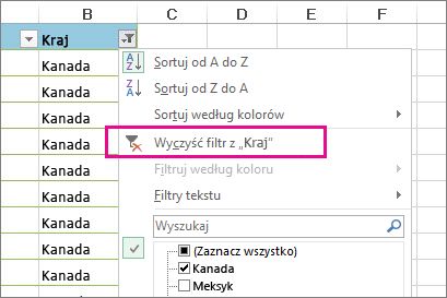 Przycisk Wyczyść filtr z