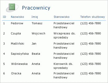 Raport dotyczący pracowników utworzony w układzie tabelarycznym