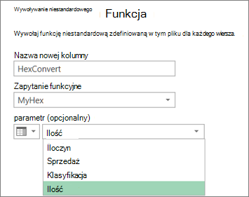 Okno dialogowe Wywoływanie funkcji niestandardowej