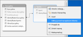 Odkryj przed narzędziami klienta
