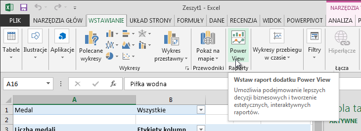 Wstawianie raportu programu Power View