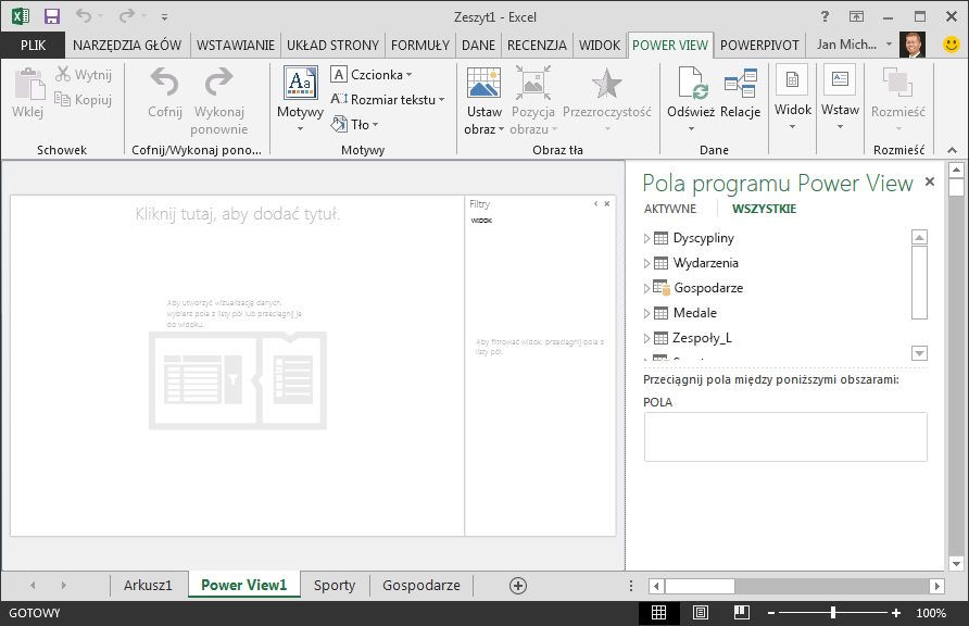 Pusty raport programu Power View w programie Excel