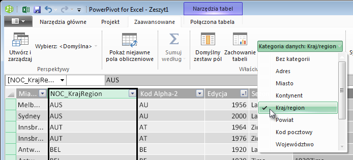 Kategorie danych w dodatku PowerPivot