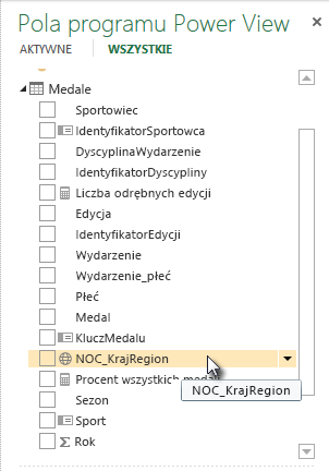 Ikona lokalizacji geograficznej w obszarze Pola programu Power View