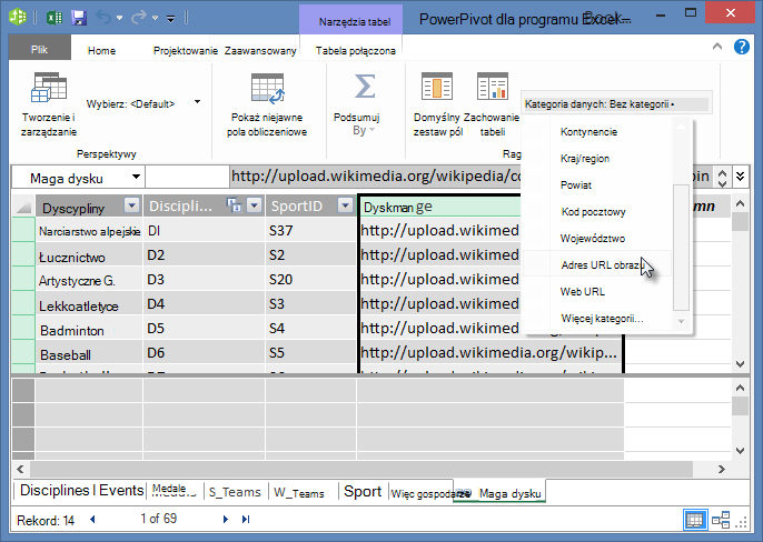 Ustawianie kategorii danych w dodatku Power Pivot