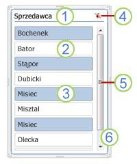 Zrzut ekranu przedstawiający elementy fragmentatora tabeli przestawnej.