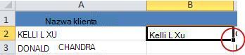 Small black square for filling down the formula