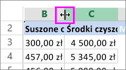zmienianie szerokości kolumny