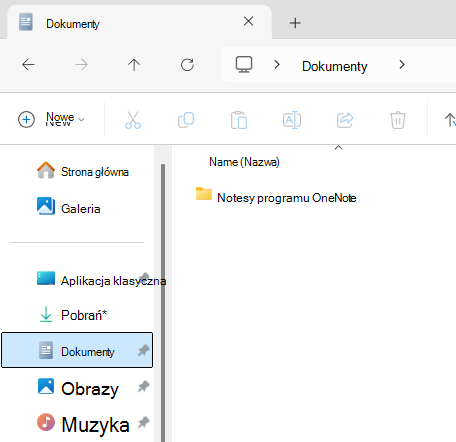 Folder Dokumenty z wyświetlonym podfolderem Notes programu OneNote.