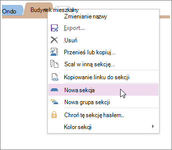 Dodawanie nowej sekcji w programie OneNote