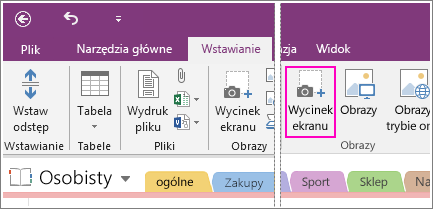 Zrzut ekranu przedstawiający przycisk Wstaw wycinek ekranu w programie OneNote 2016