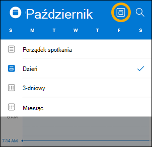 Opcje przycisku widoku w systemie iOS Calendar