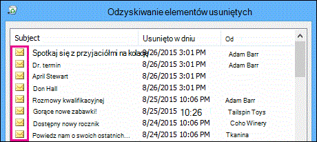 Wszystkie typy elementów mają taką samą ikonę w folderze Elementy do odzyskania