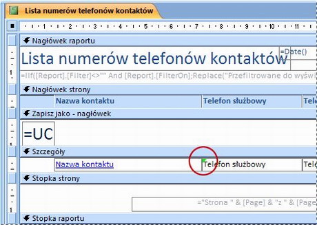Raport zawierający pole tekstowe z niepoprawnie zapisanym identyfikatorem