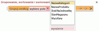 Lista pól w okienku Grupowanie, sortowanie i sumowanie