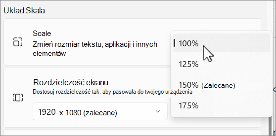 Zrzut ekranu przedstawiający opcje skalowania i układu.