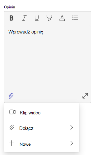 Zrzut ekranu przedstawiający opinię.
