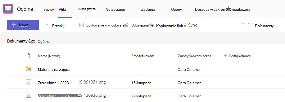 Zrzut ekranu przedstawiający pliki.