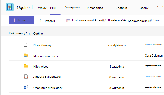 Zrzut ekranu przedstawiający kartę Files z materiałami zajęć i udostępnionymi plikami.