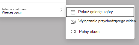 Zrzut ekranu przedstawiający opcje widoku.