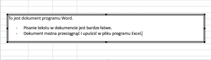 Ten obiekt osadzony jest dokumentem programu Word.