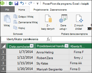 Widok tabeli dodatku Power Pivot