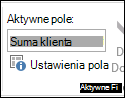 Ustawienia pola na wstążce