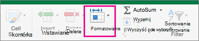 Wyróżniona pozycja Format na karcie Narzędzia główne