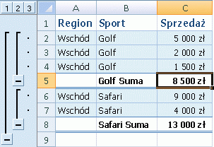 Lista programu Excel z sumami częściowymi sportów w regionie Wschód