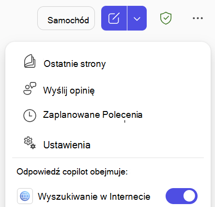 Zrzut ekranu przedstawiający przełącznik wyszukiwania w sieci Web w Copilot Chat