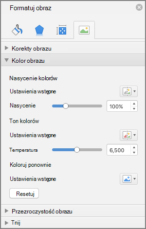 Dopasowywanie ustawień nasycenia kolorów w okienku Formatowanie obrazu