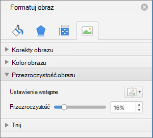 Dopasowywanie przezroczystości koloru w okienku Formatowanie obrazu