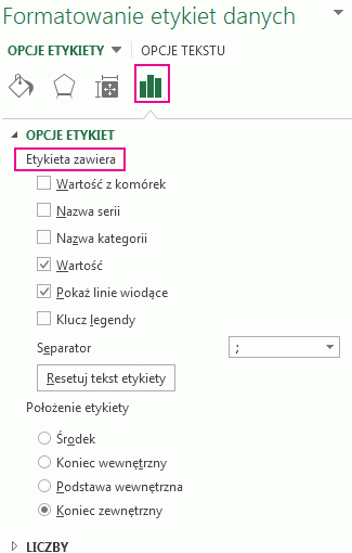 Sekcja Opcje etykiet w okienku Formatowanie etykiet danych