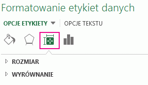 Ikona i okienko Formatowanie etykiet danych & Rozmiar