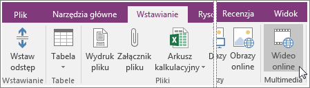 Zrzut ekranu przedstawiający wstawianie osadzonego klipu wideo do programu OneNote 2016.