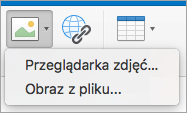 Przedstawia opcje wstawiania obrazu dla podpisu