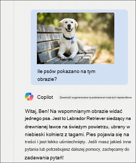 Zrzut ekranu przedstawiający copilot. Obraz psa został wklejony wraz z monitem Ile psów pokazano na tym obrazie? Copilot dokładnie zareagował i dostarczył dodatkowy opis obrazu.