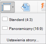 Menu Rozmiar slajdu