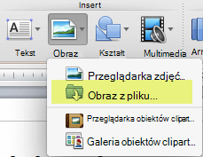Na karcie Narzędzia główne na wstążce w obszarze Wstawianie kliknij pozycję Obraz > z pliku.