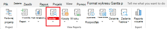 Przycisk Zasoby na karcie Raport