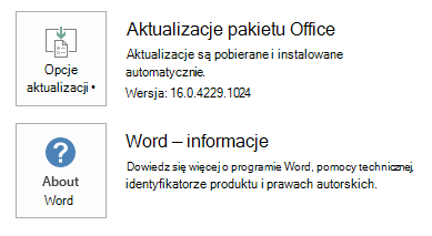 Zrzut ekranu dla technologii Szybka instalacja programu Word