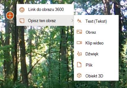 Menu z opcjami adnotacji w obrazach 360°, w tym adnotacjami typu Tekst, Obraz, Wideo, Audio, Plik i Obiekt 3D