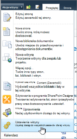 Ustawienia witryny w menu Akcje witryny