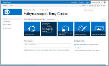 Szablon witryny zespołu